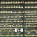 Featured: organized supplement bottles