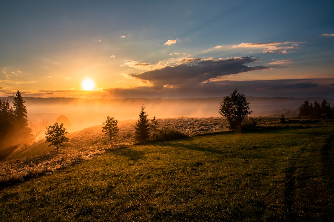 morning sunlight circadian rhythm