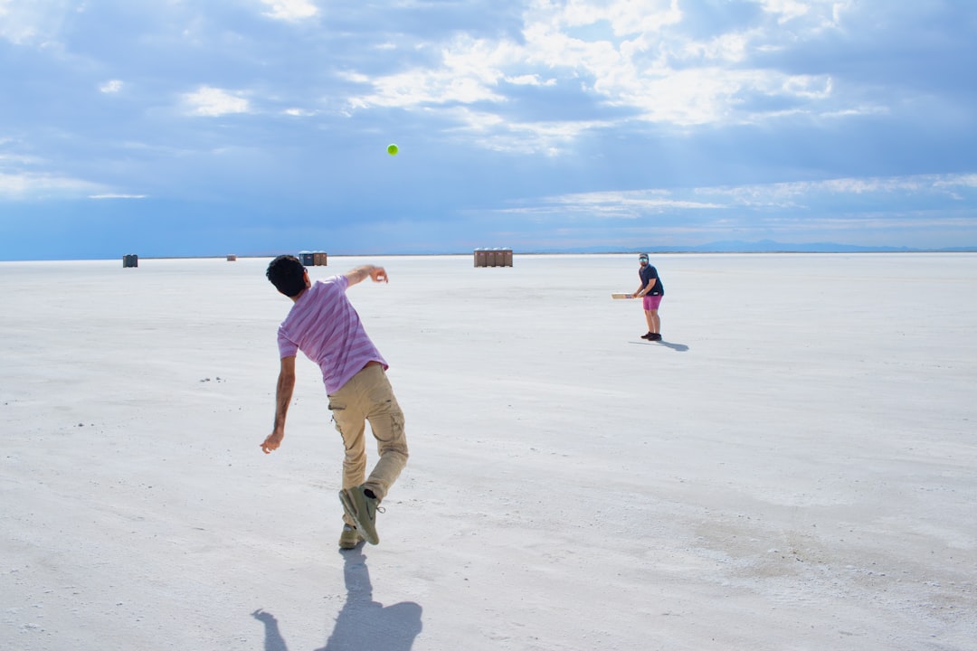 People playing a backyard ball game