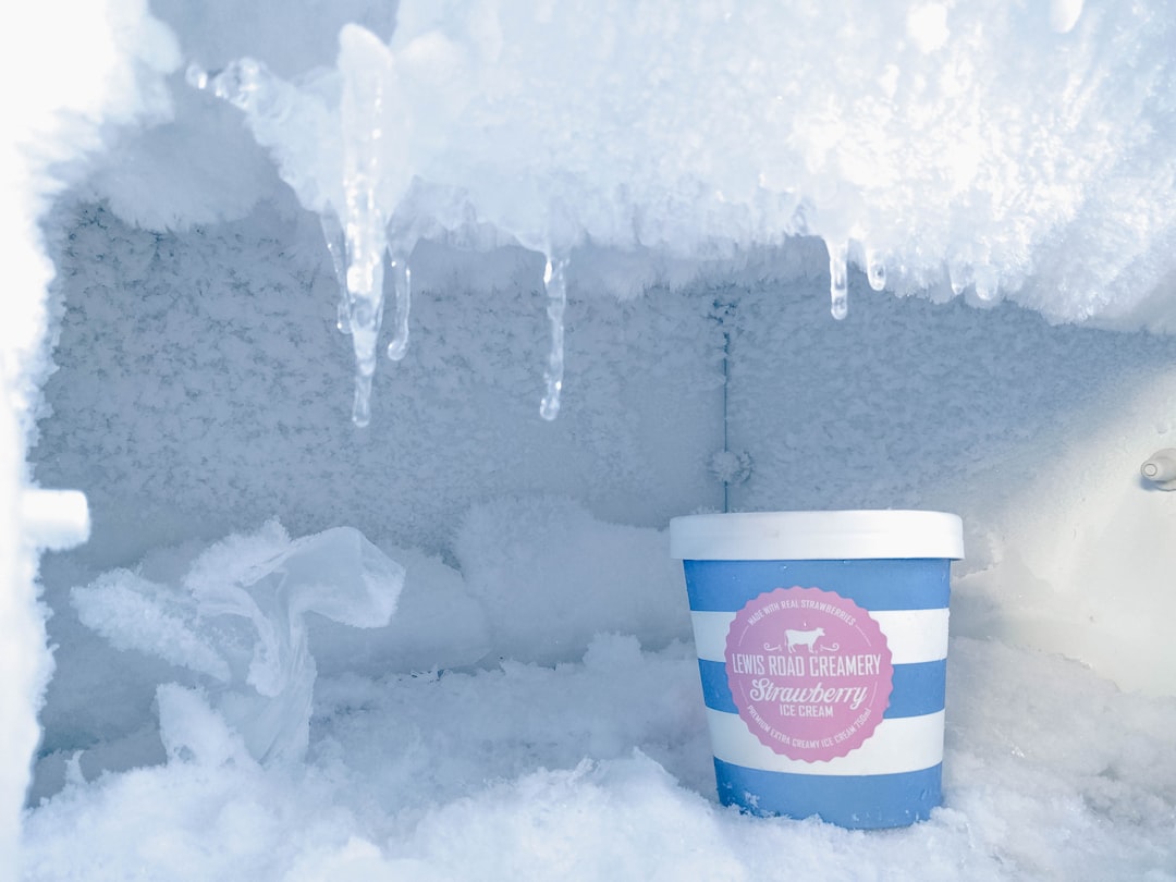 frozen pint containers storage