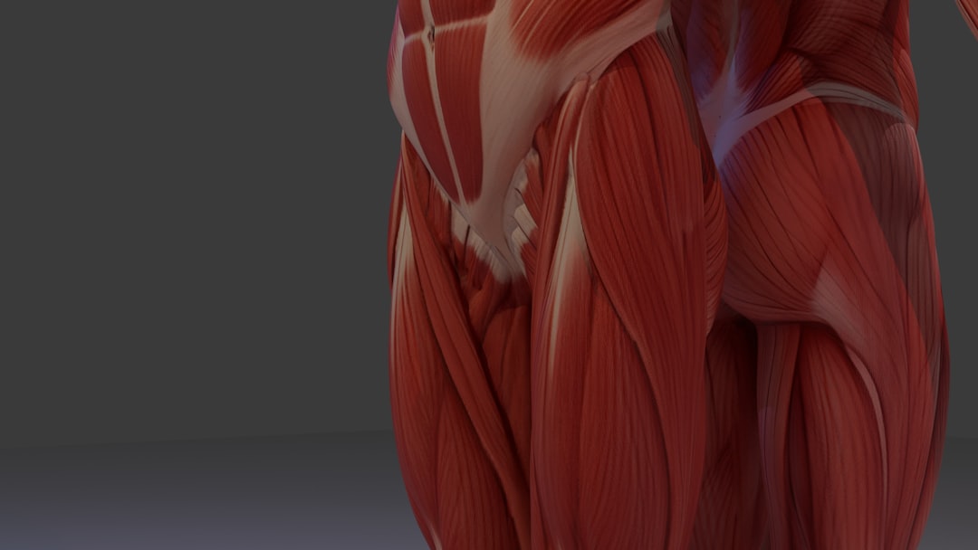 Strong forearm muscles and grip anatomy