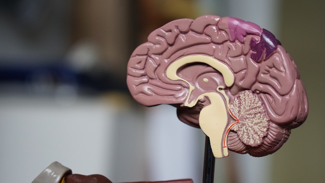 Nervous system regulation and body recovery