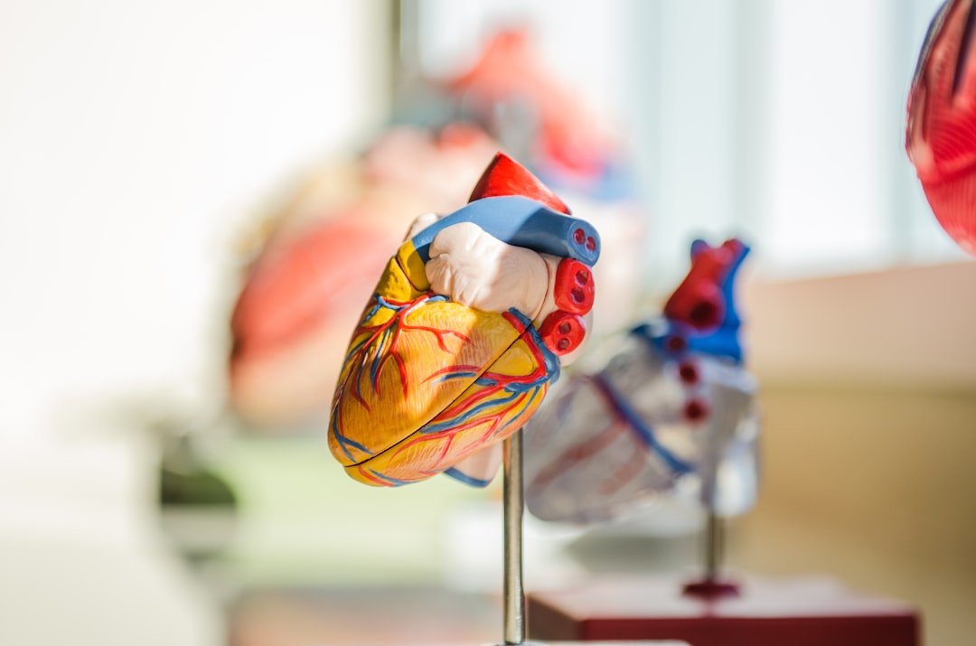 Healthy heart cardiovascular benefits