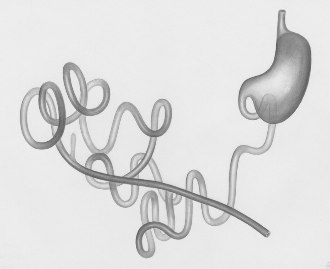 Digestive system health illustration