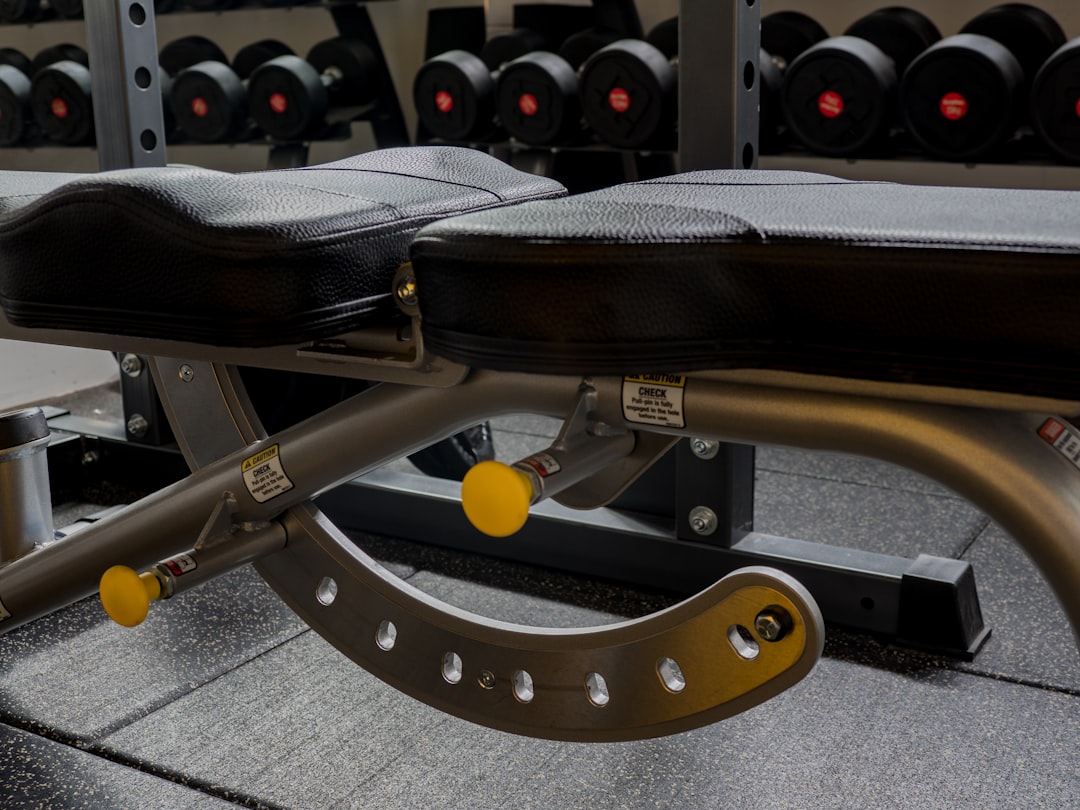 Adjustable folding weight bench ready for exercise
