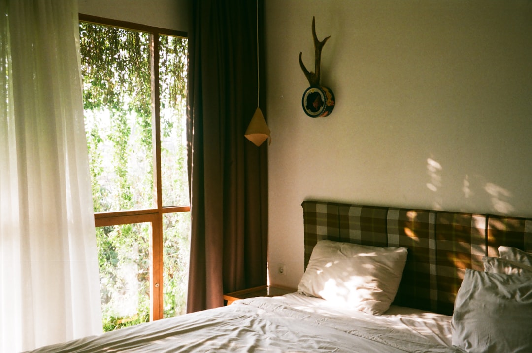 Morning sunlight streaming through bedroom window