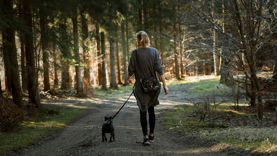 Woman walking her dog on a sunny morning path