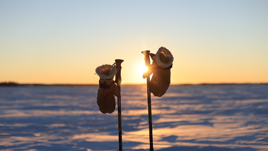 Nordic walking poles at sunset
