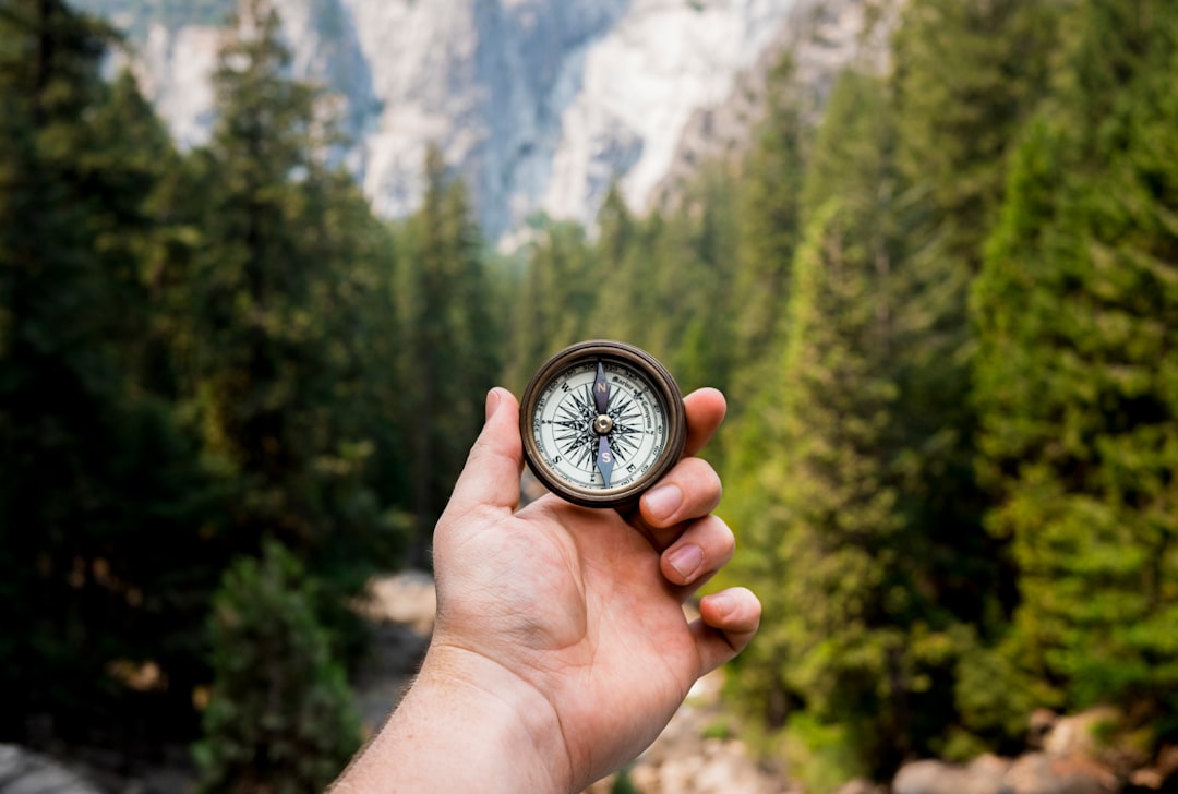 Hand holding compass with forest and mountains behind