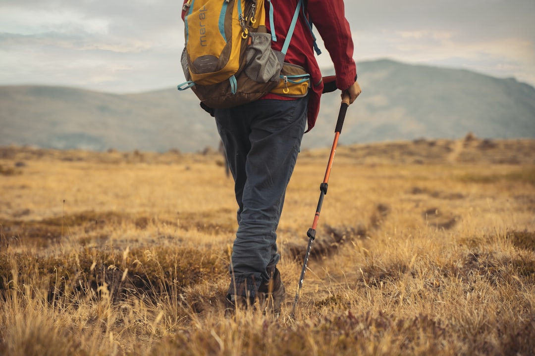 Hiker using trekking poles on mountain trail