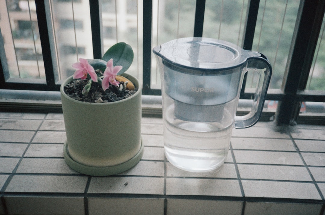 Water pitcher on a sunny kitchen windowsill