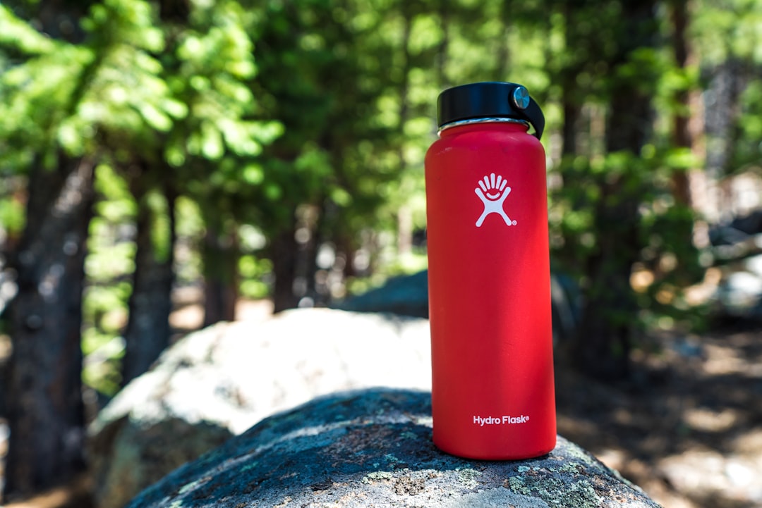 Water bottle resting on rock along forest trail