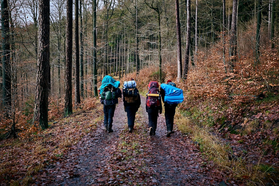 Hiking backpack resting on forest trail