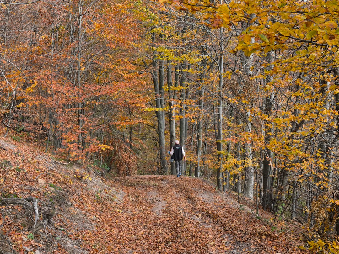 Runner jogging a leaf-covered autumn trail in layers