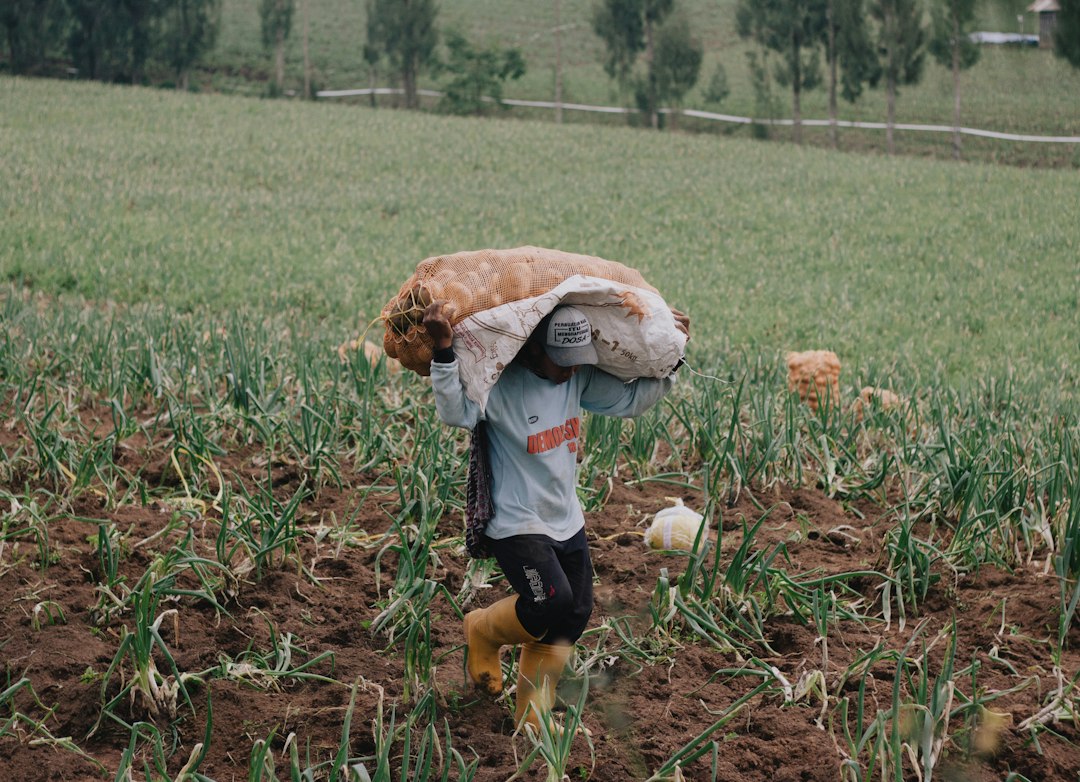 Athlete performing a heavy farmer carry across a gym