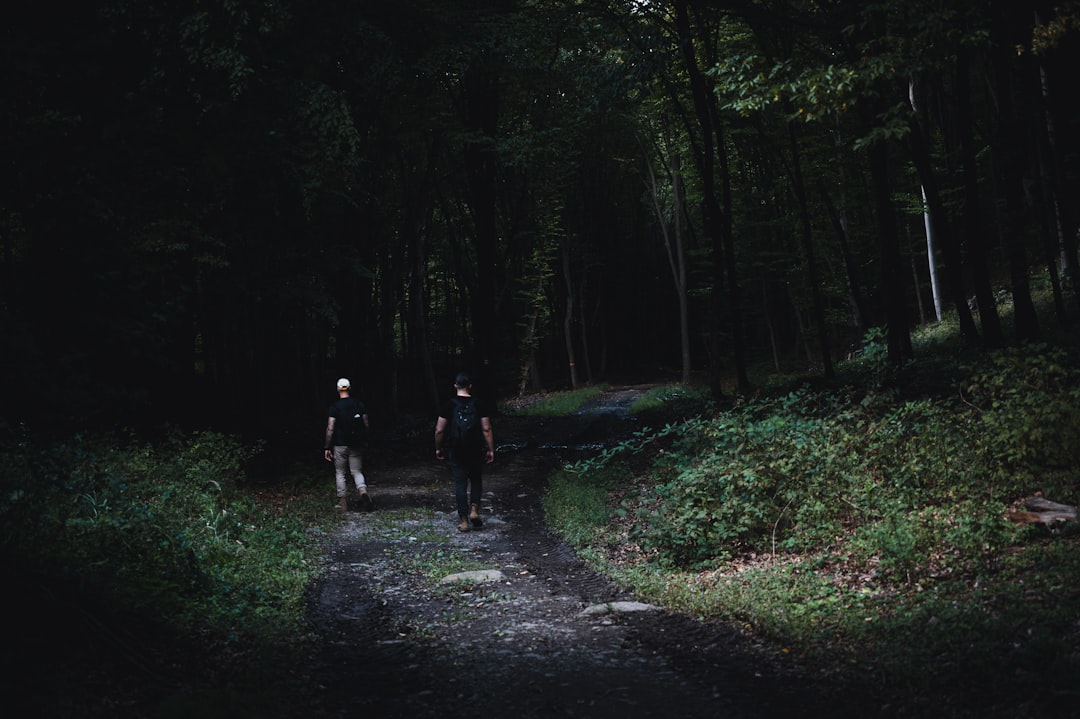Two people walking a dark forest path wearing a headlamp