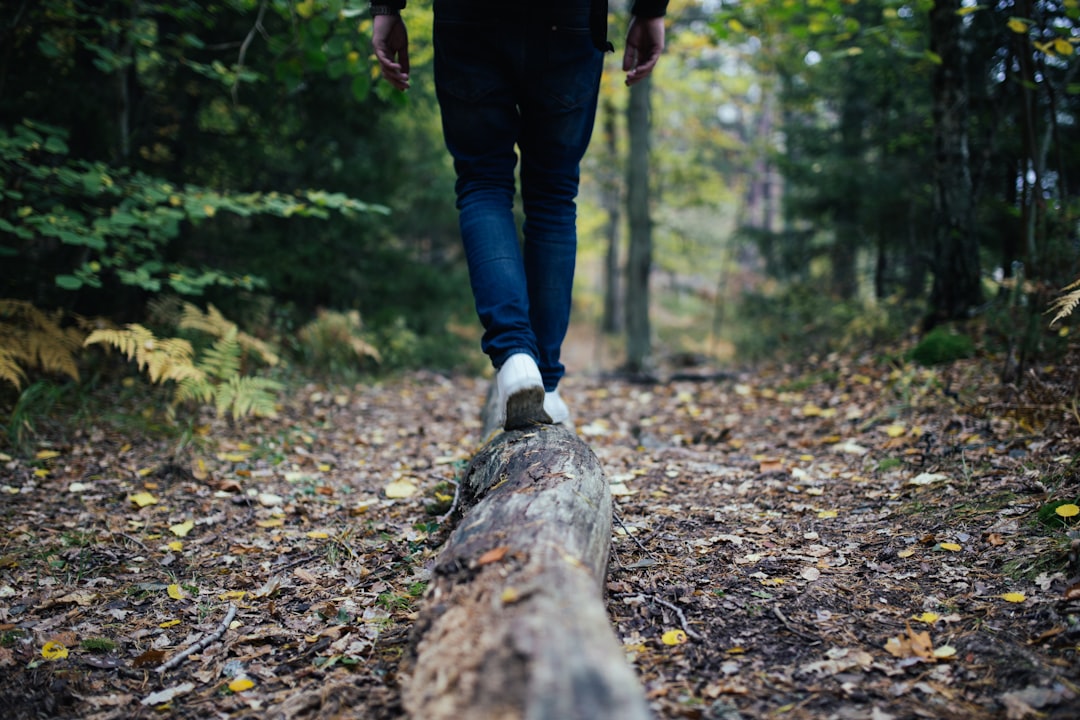 Person walking a forest trail covered in autumn leaves