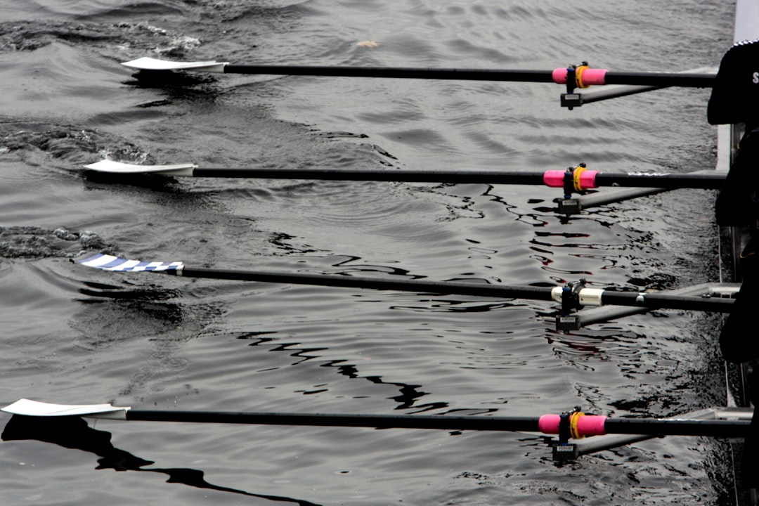 Oars slicing through dark water during a powerful rowing stroke