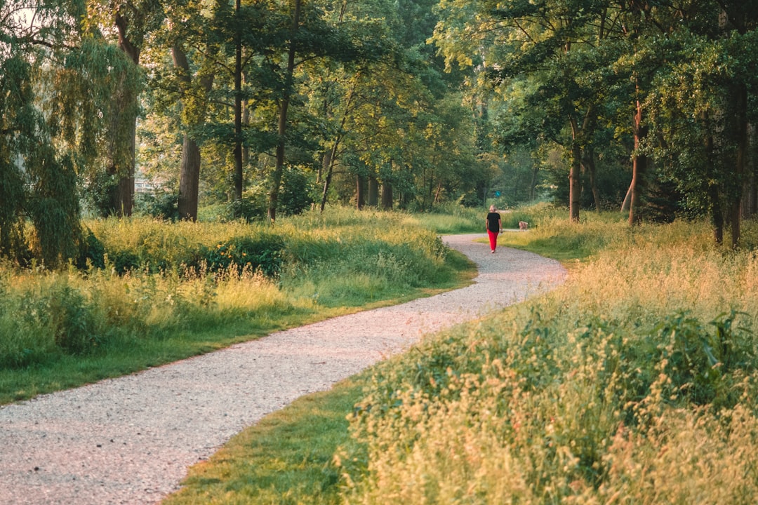 Woman walking her usual park loop past tall trees