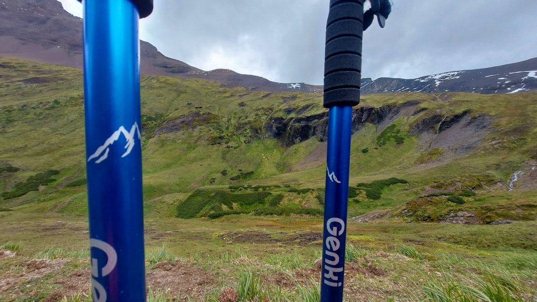 Nordic walking poles on a mountain trail