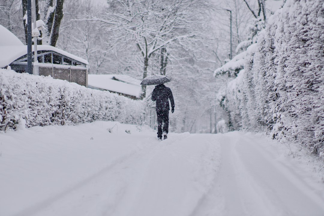 person walking down a snow-covered path in daylight