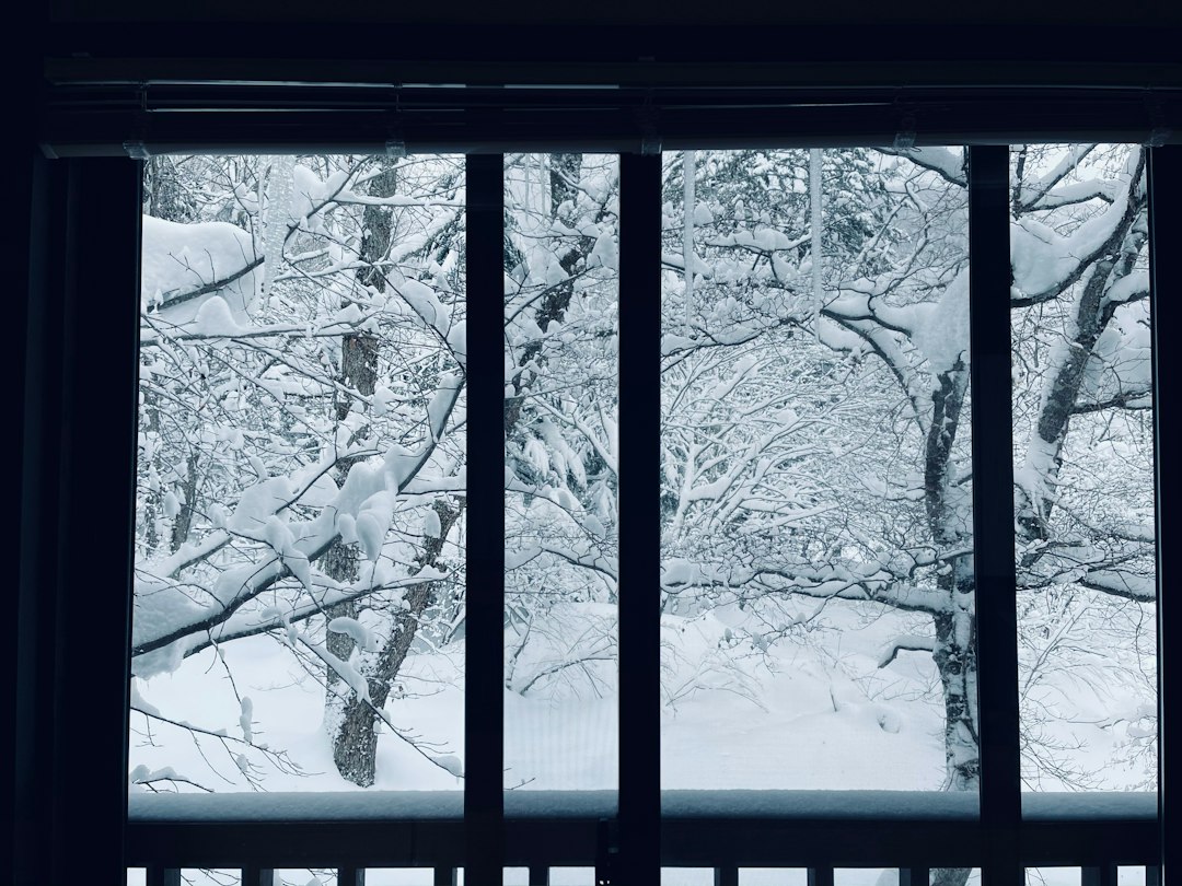 snow-covered trees viewed through a window on a grey winter day
