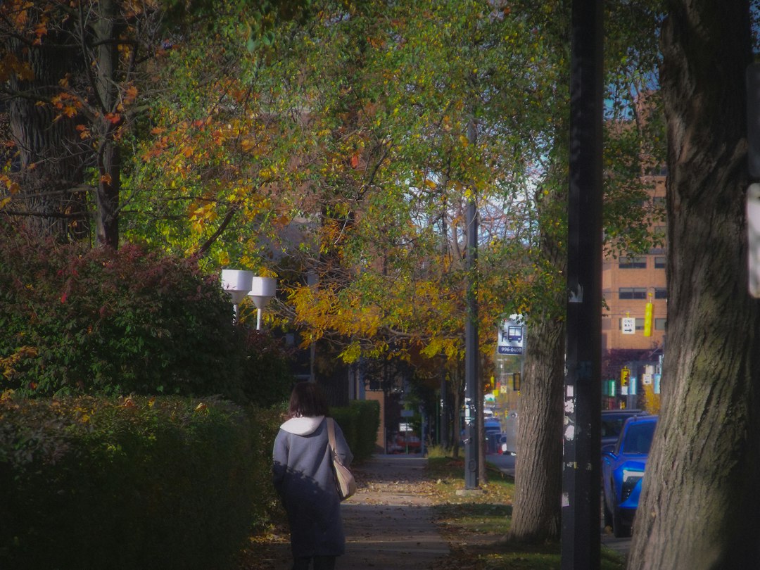 Person walking alone down a tree-lined sidewalk in autumn colors