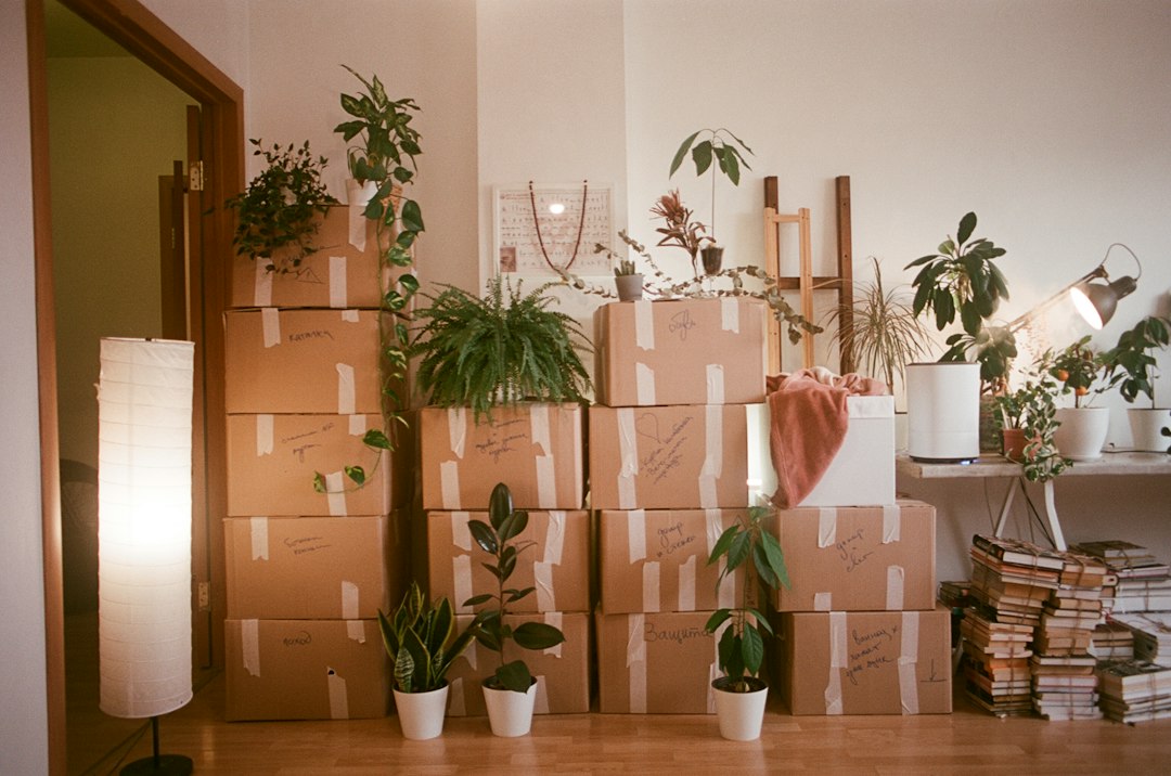 Room filled with moving boxes during a furniture delivery