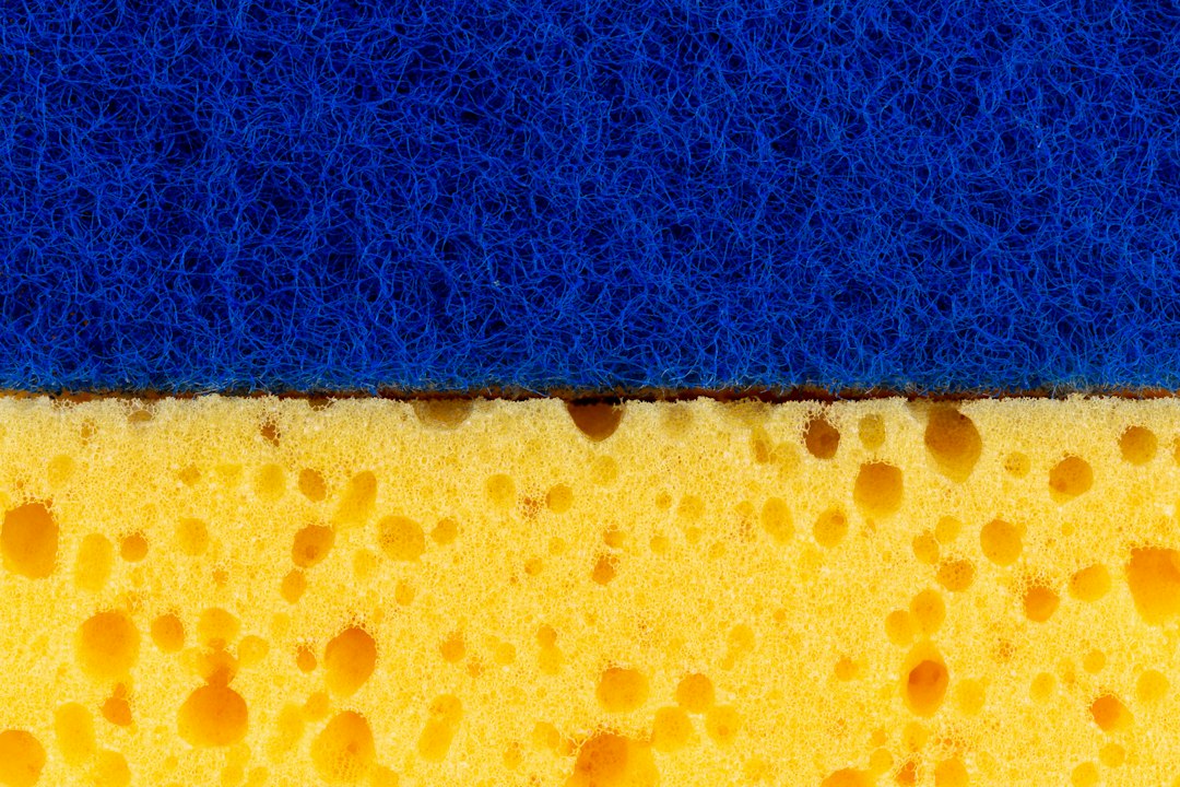 Close-up of a two-sided cleaning sponge with a blue scrubbing layer